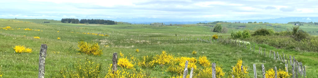 plateau des tourbières