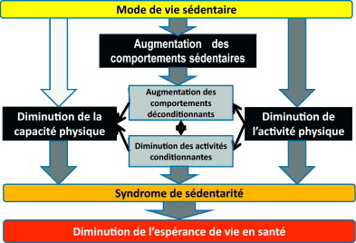 diagramme