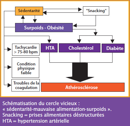 schema